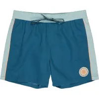 Billabong Dbah Panel Surffishortsit sininen, M