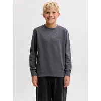 Jack & Jones Jack&Jones Junior Jjearchive collegepaita