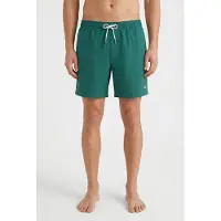 O'Neill Vert 16'' Surffishortsit botanical heat Koko L