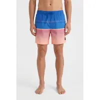O'Neill Gradient 15'' Surffishortsit blue gradient stripe Koko L