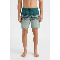 O'Neill Logo Stripe 16'' Swimshorts - Green - M