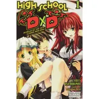 Little, Brown and Company High School DxD, Vol. 1 (light novel)