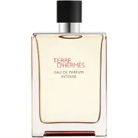 Hermès Paris Terre d’Hermès Eau de Parfum Intense Eau de Parfum intense miehille 175 ml