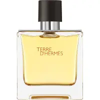 Hermès Paris Terre d'Hermès, Parfum 75ml