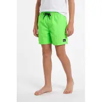 Quiksilver Uimashortsit - Arkipäivän lentopallo - Green Gekko - - 16 v (176) - Uimashortsit