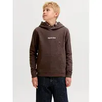 Jack & jones Jornorrebro Emb Sweat Hood Noos Jnr - Brown - 152