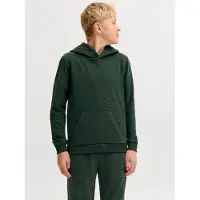 Jack & Jones Jjebradley Sweat Hood Noos Jnr - Green - 164