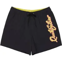 Quiksilver Everyday Malibu Volley 15 Surffishortsit black Koko L