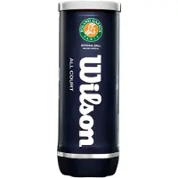 Wilson Roland Garros All Court Tennis Balls Keltainen 3 Balls
