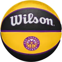 Wilson Electronics Koripallo , koko 6
