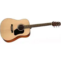 Walden Guitars Walden D450W Western kitara (Luonnollinen)