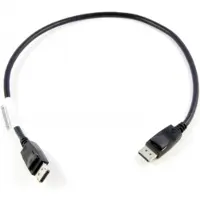 Lenovo DisplayPort - DisplayPort cable 0.5m black (0B47396)