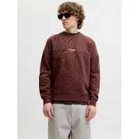 Jack & Jones Collegepaita 'JJESoho' suklaa / valkoinen
