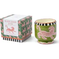 PADDYWAX A Dopo Tiger tuoksukynttilä 226 g