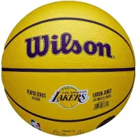 Wilson Electronics Wilson LeBron James mini-boll NBA Player Icon WZ4027701XB – 3