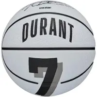 Wilson Koripallo Player Icon Mini Durant, valkoinen, koko 3