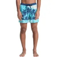 Quiksilver Everyday Printed Volley 15´´ Uimashortsit