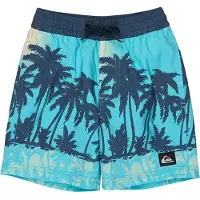 Quiksilver Everyday Printed Volley 13´´ Uimashortsit