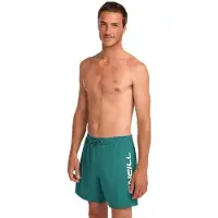 O'Neill Logo 16'' Surffishortsit botanical heat Koko XS