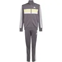 Adidas Seasonal Essentials Tiberio 3 Stripes Tricot Verkkapuku