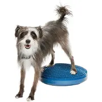 FitPAWS -koiran tasapainotyyny, 36 cm