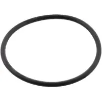 Electrolux tiiviste, rengas, pesumoottori 4055341541