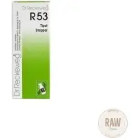 Dr. Reckeweg DR.Reckeweg R53 H386FI 50ML homeopaattinen valmiste