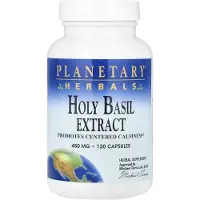 Planetary Herbals , Pyhä Basilikka-ekstrakti, 450 mg, 120 Pillereitä