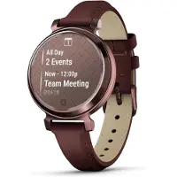 Garmin Lily 2 Classic 010-02839-73