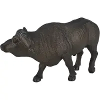 Animal planet Wildlife Buffalo