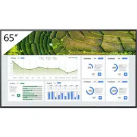 Sony FW-65BZ30L, Digitaalinen litteä infotaulu, 165,1 cm (65"), LCD, 3840 x 2160 pikseliä, Wi-Fi, 24/7