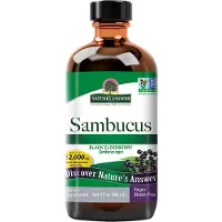 Natures Answer - Sambucus (240 ml / 8 fl. oz.)