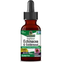 Natures Answer , Echinacea & Goldenseal, Alkoholiton, 1 fl oz (30 ml)