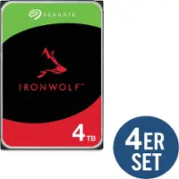 Seagate IRONWOLF 4 Tt SATAIII 256 Mt 3,5" -kovalevy