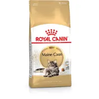 Royal Canin - Maine Coon Adult Dry kissanruoka 10 kg - Kissat - Kissanruoka - Kuivaruoka
