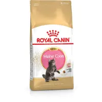 Royal Canin Maine Coon Kitten, Kissan kuivaruoka, 4 kg