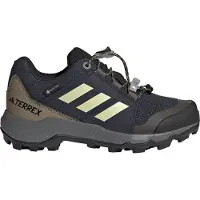 Adidas Kenkä - Terrex GTX - Legink/Duayel/Olistr - - 38 - Kengät
