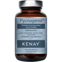 Kenay - Pycnogenol ranskalaisen merimännyn kuoriuute (60 kapselia)