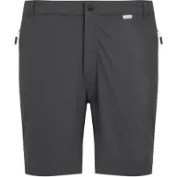 Regatta Mountain Ii Shortsit