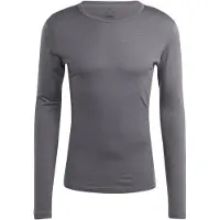 Adidas Xperior Merino 200 Baselayer Pitkähihainen T-paita