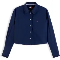 Tommy Hilfiger Dw0dw23457 Pitkähihainen Kauluspaita