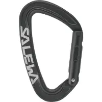 Salewa Ortles Straight Karbiinihaka