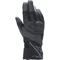 Alpinestars Stella Andes V2 Drystar Naisten Hanskat