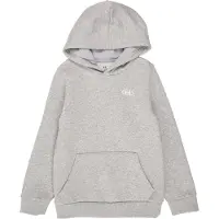 Under Armour Urheilullinen collegepaita 'RIVAL' meleerattu harmaa / valkoinen
