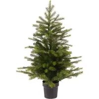 Everlands Grandis 75cm joulukuusi