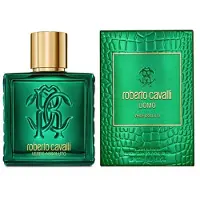 Roberto Cavalli Uomo Verde Assoluto, EdP 100ml