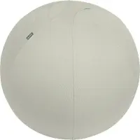 Leitz Ergo, aktiivipallo lisäpainolla, 65cm, vaaleaharmaa