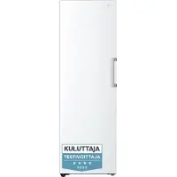 LG GFT41SWGSZ kaappipakastin, valkoinen