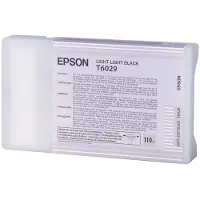 Epson T6029 Mustepatruuna Vaalea Vaalea musta