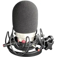 Rycote Neumann TLM 103 Foam -tuulisuoja